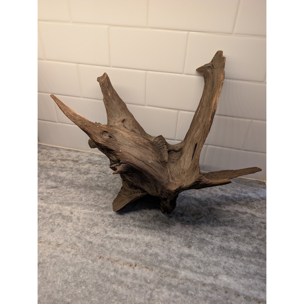 Driftwood  14 In X 10 In X 8 In Display Piece
